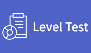 level test